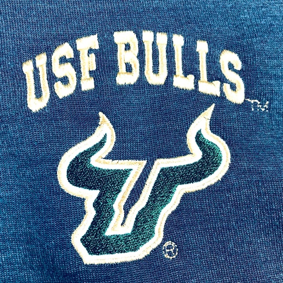 Champion Men’s Gray South Florida Bulls Embroidered Pullover Casual Sweatshirt - Picture 3 of 5